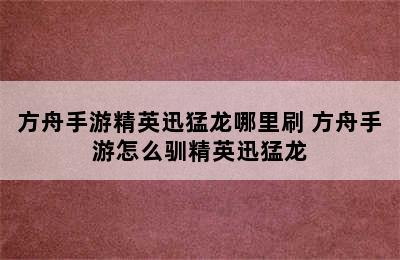 方舟手游精英迅猛龙哪里刷 方舟手游怎么驯精英迅猛龙